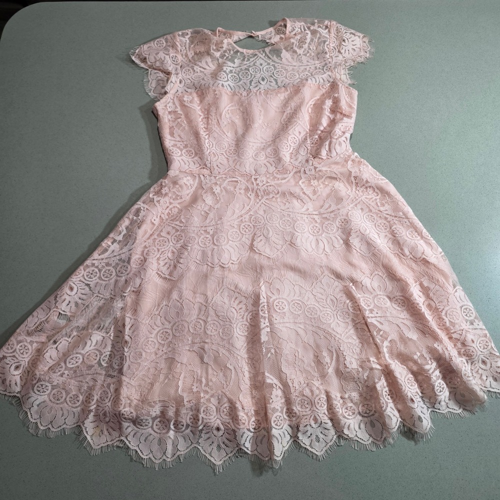Pink Lace Short Sleeve Fit and Flare Dress Keyhole Back Eyelash Trim RN67365